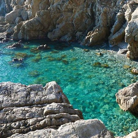 Il Cuore Di Moneglia - Moneglia Apartments Kültér fotó
