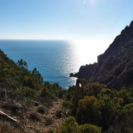 Il Cuore Di Moneglia - Moneglia Apartments Kültér fotó
