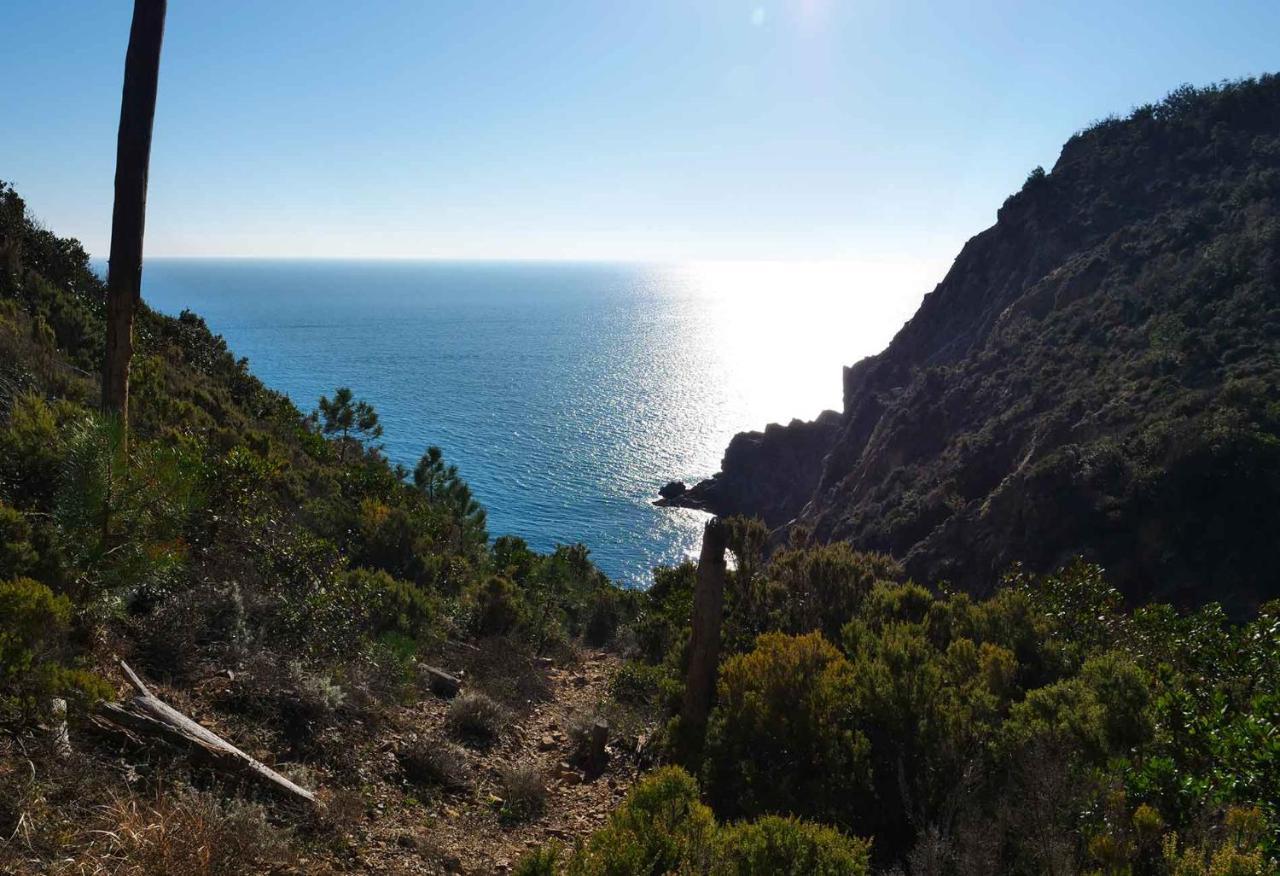 Il Cuore Di Moneglia - Moneglia Apartments Kültér fotó