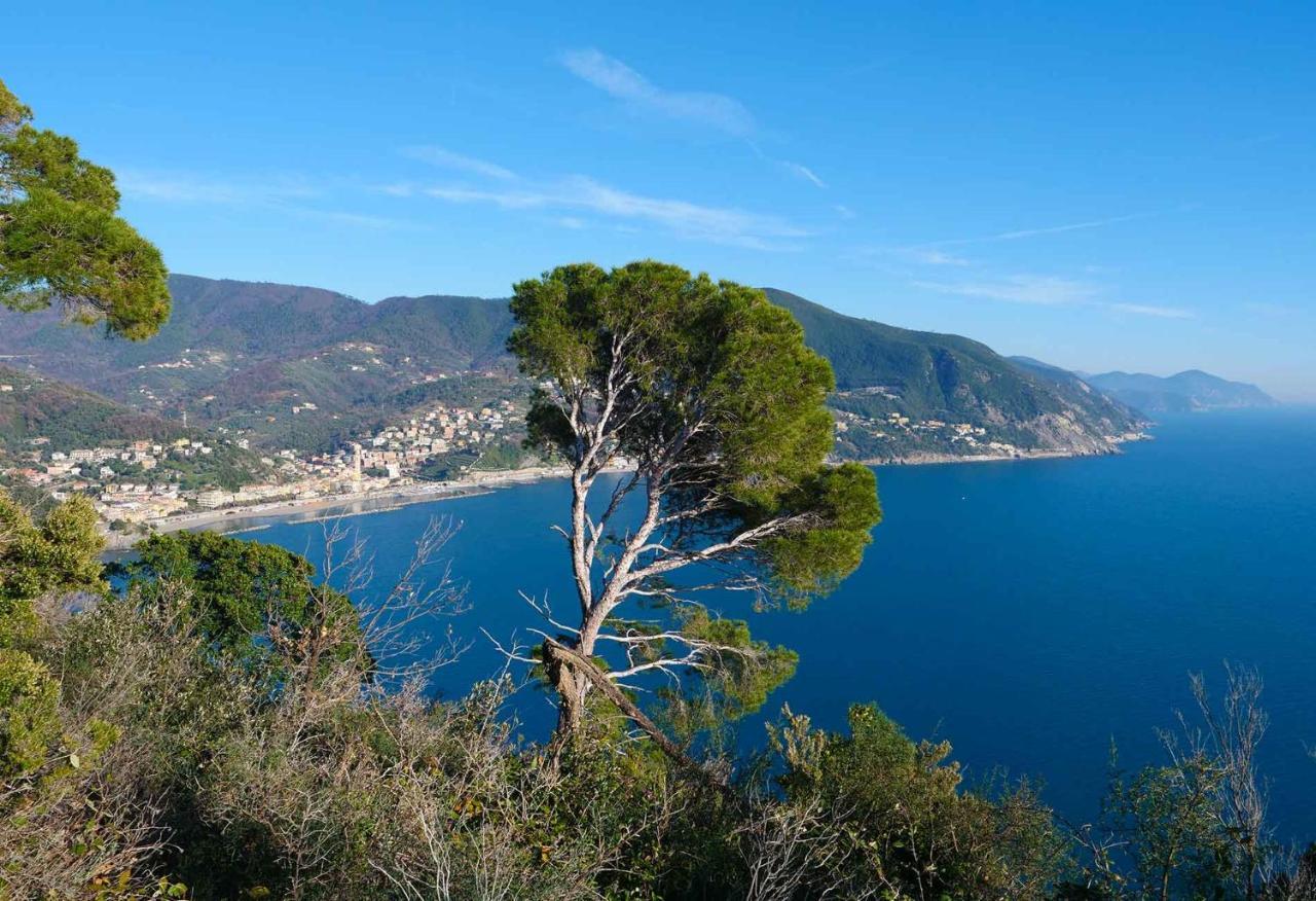 Il Cuore Di Moneglia - Moneglia Apartments Kültér fotó
